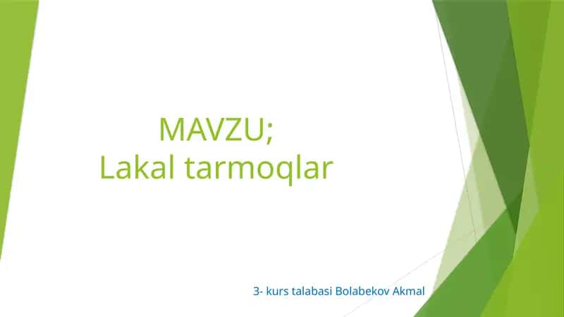 Lokaltarmoqlar 1