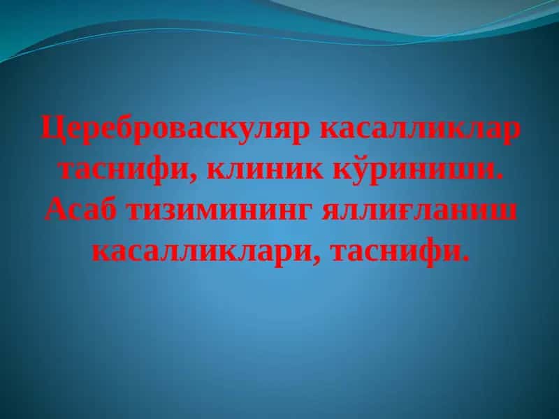 Физиология головного мозга 1
