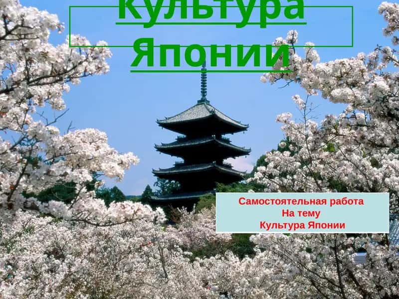 Культура Японии 1