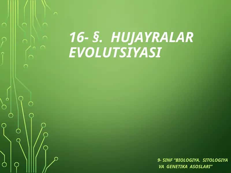 Hujayra lar evolutsiyasi 1