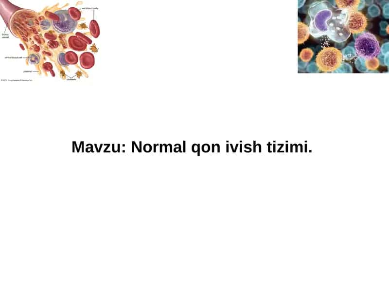 Normal qon ivish tizimi 1