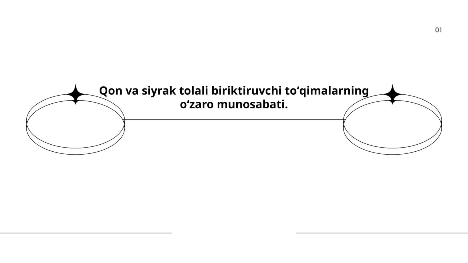 Kollagen tolalari va ularning funksiyalari 1