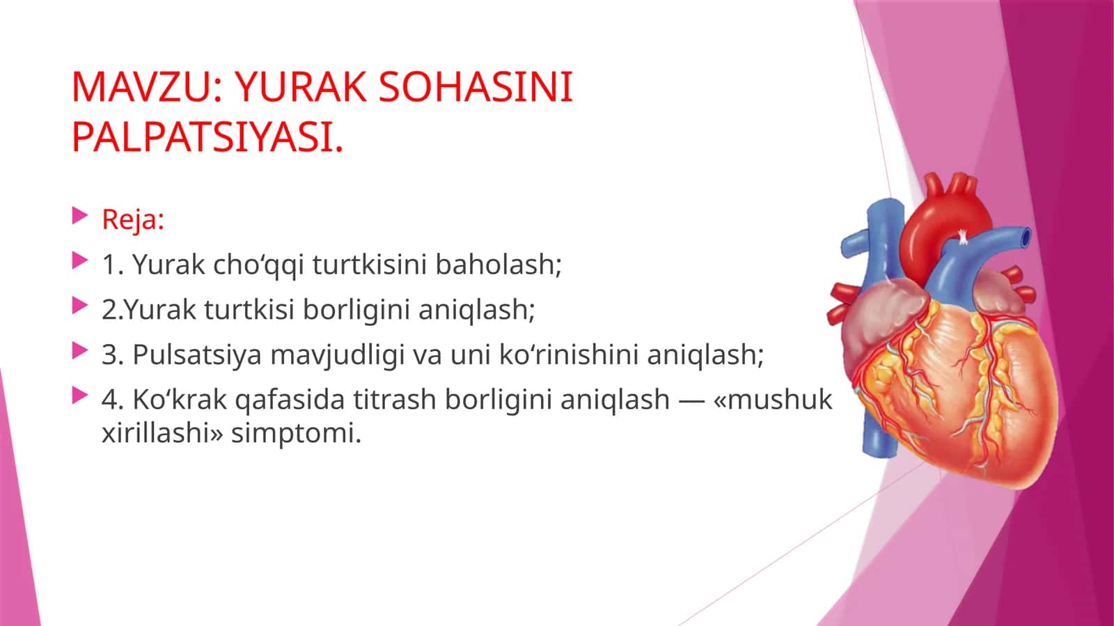 YURAK SOHASINI PALPATSIYASI 1