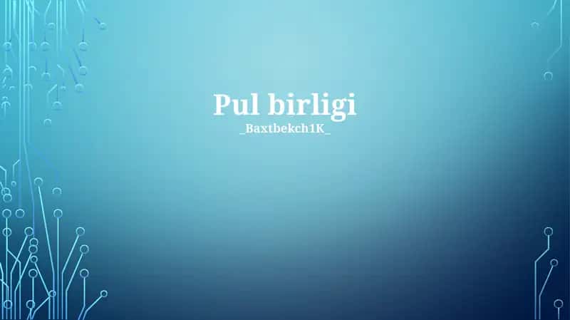 Pul birligi 1