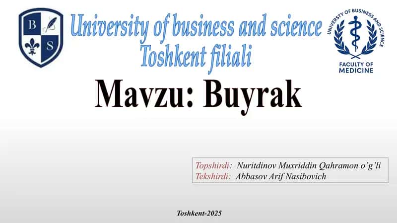 Buyrak 1