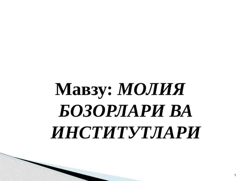 МОЛИЯ БОЗОРЛАРИ ВА ИНСТИТУТЛАРИ 1