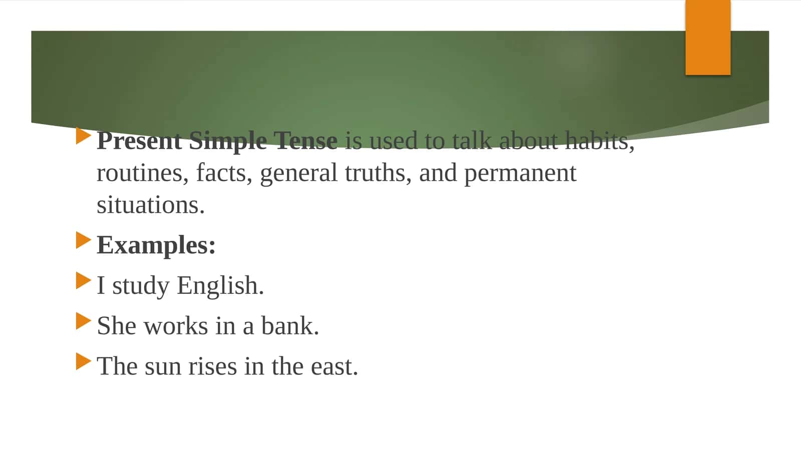 Present Simple Tense 1