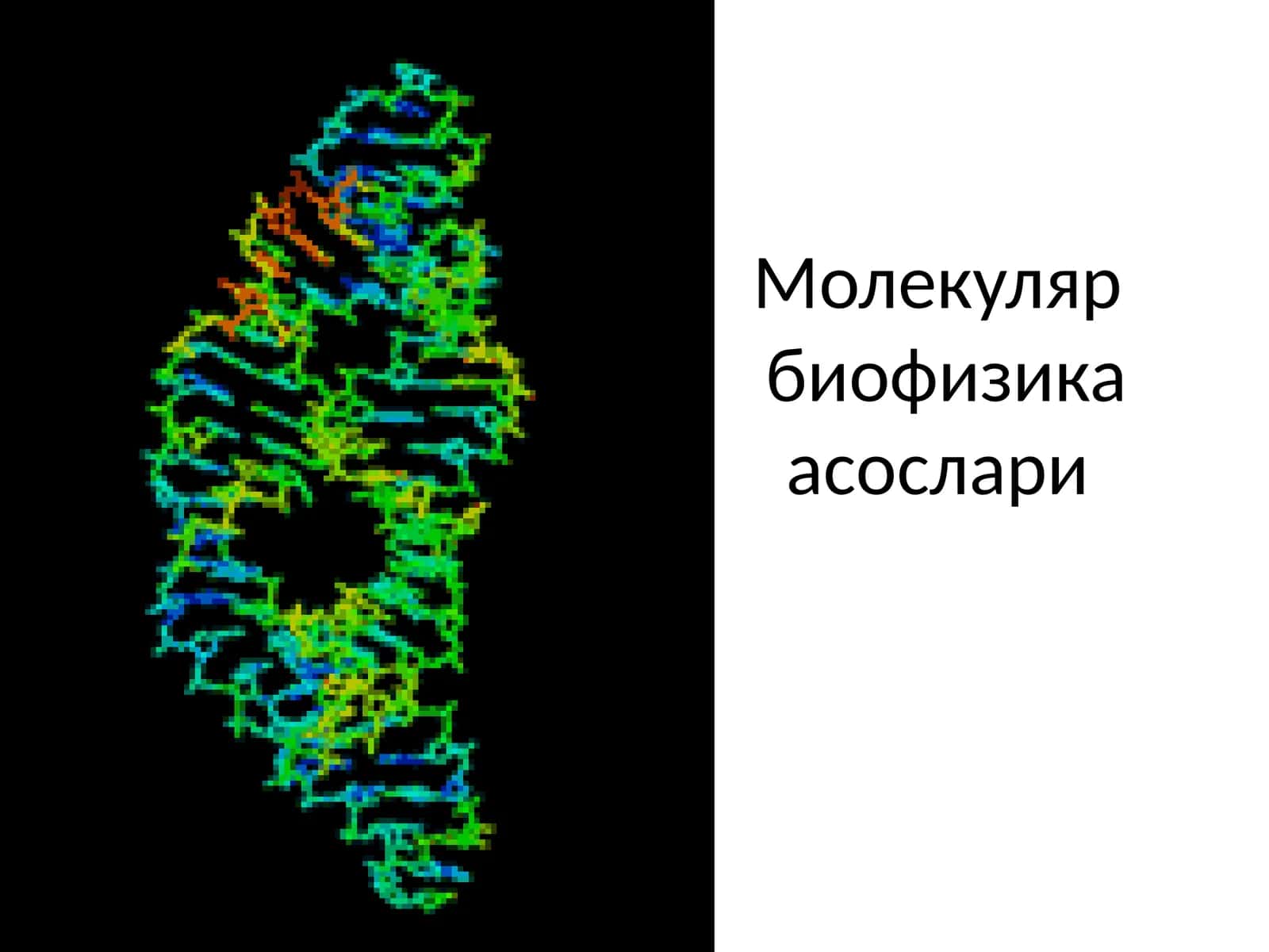 Молекуляр биофизика асослари 1