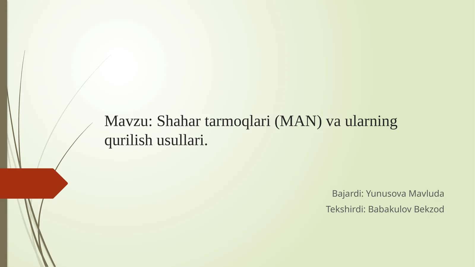 Shahar tarmoqlari (MAN) va ularning qurilish usullari. 1