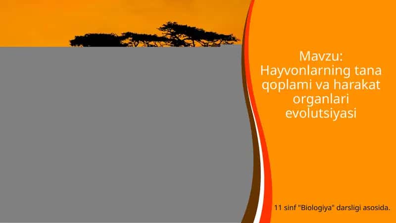 Hayvonlarning tana qoplami va harakat organlari evolutsiyasi 1
