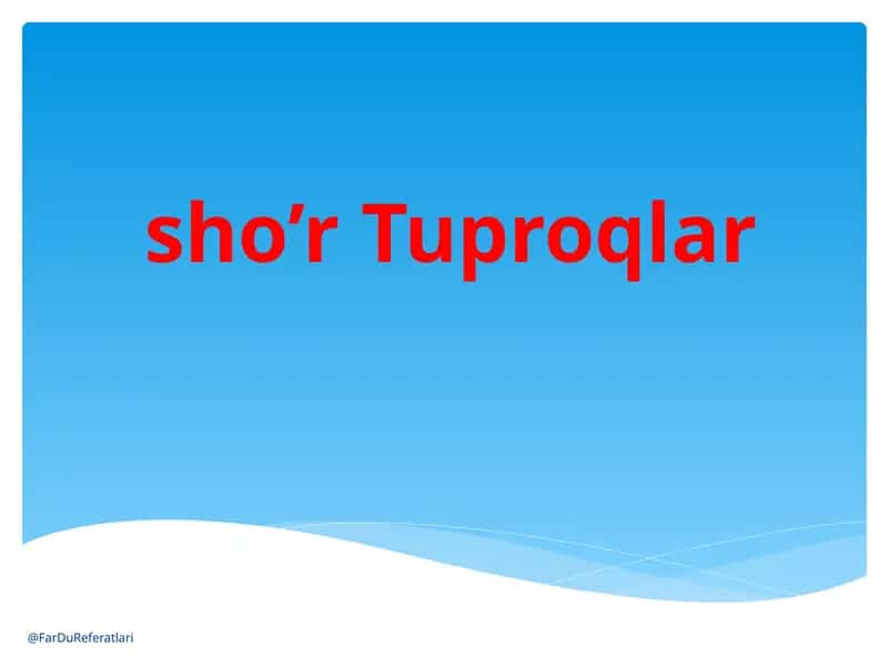 sho’r Tuproqlar 1