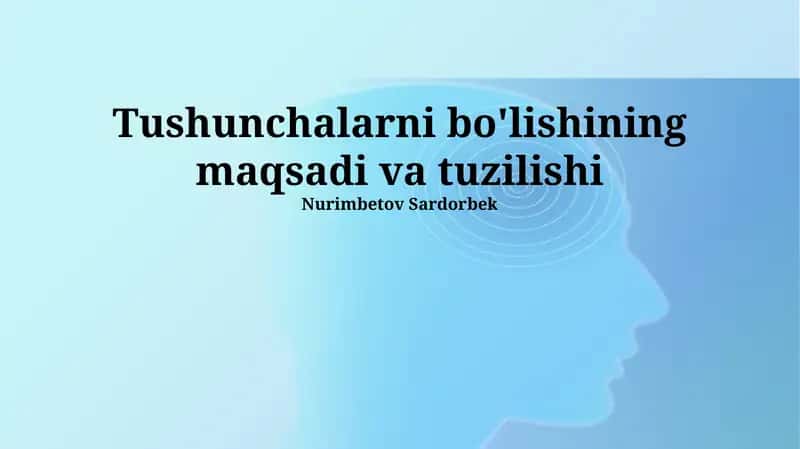 Tushunchalarni bo'lishining maqsadi va tuzilishi 1
