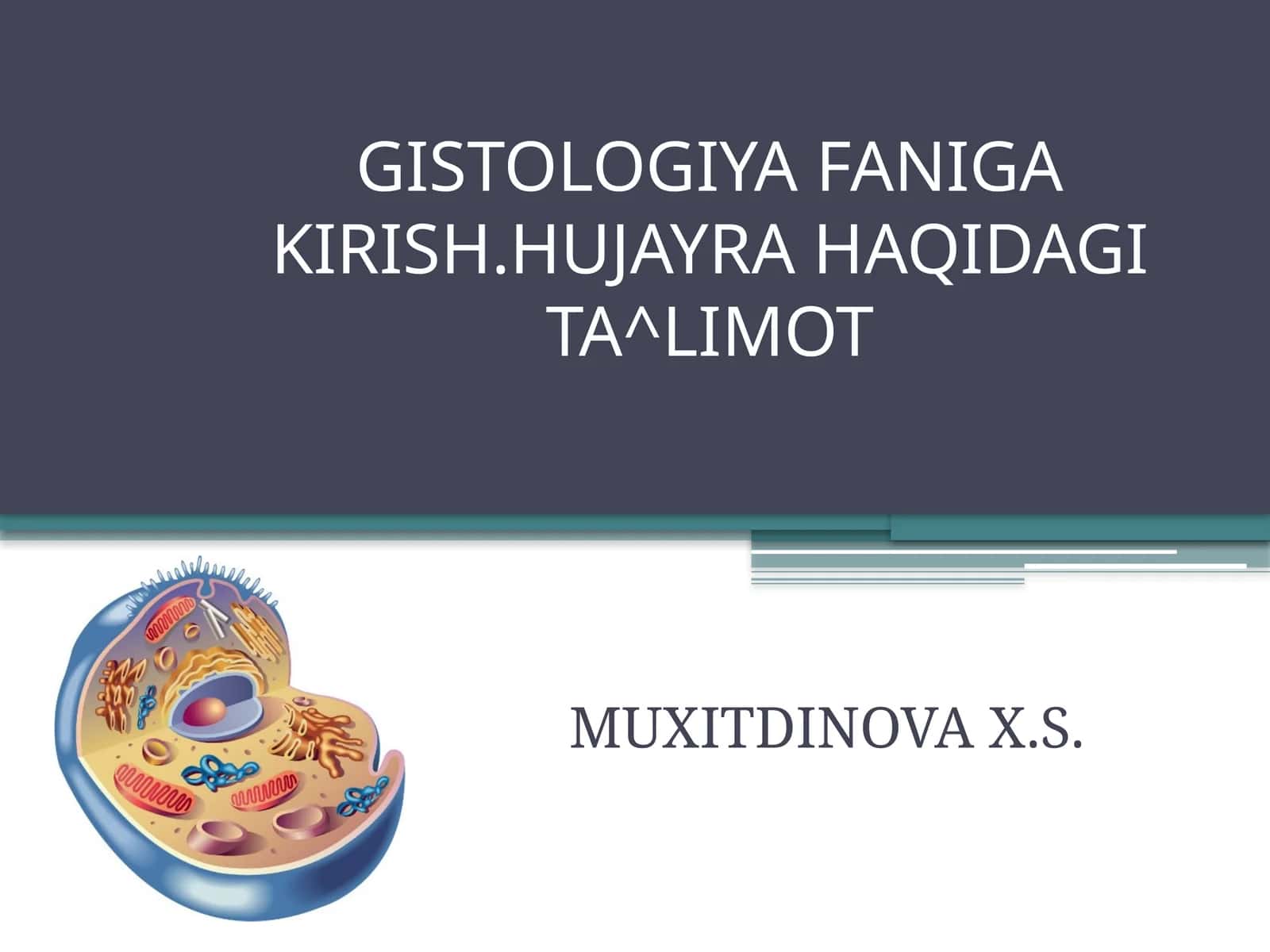 GISTOLOGIYA FANIGA KIRISH.HUJAYRA HAQIDAGI TA^LIMOT 1