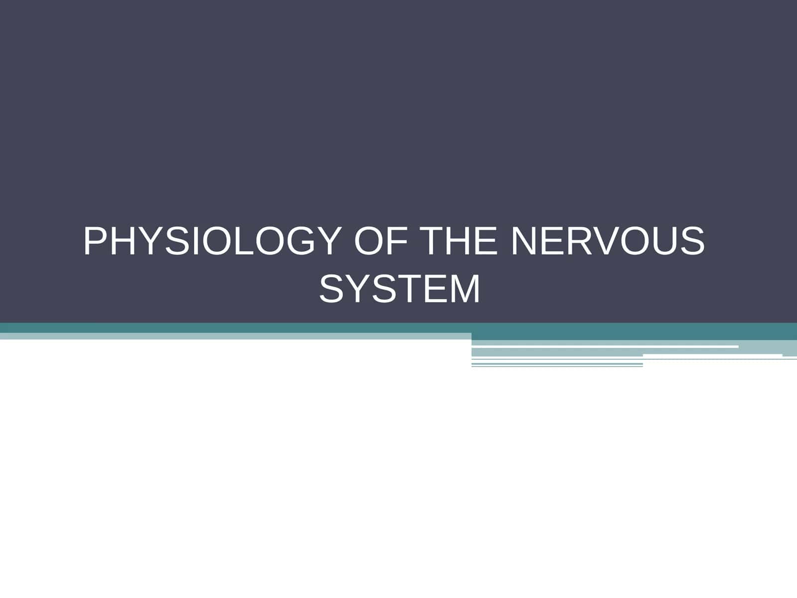 PHYSIOLOGY OF THE NERVOUS SYSTEM 1