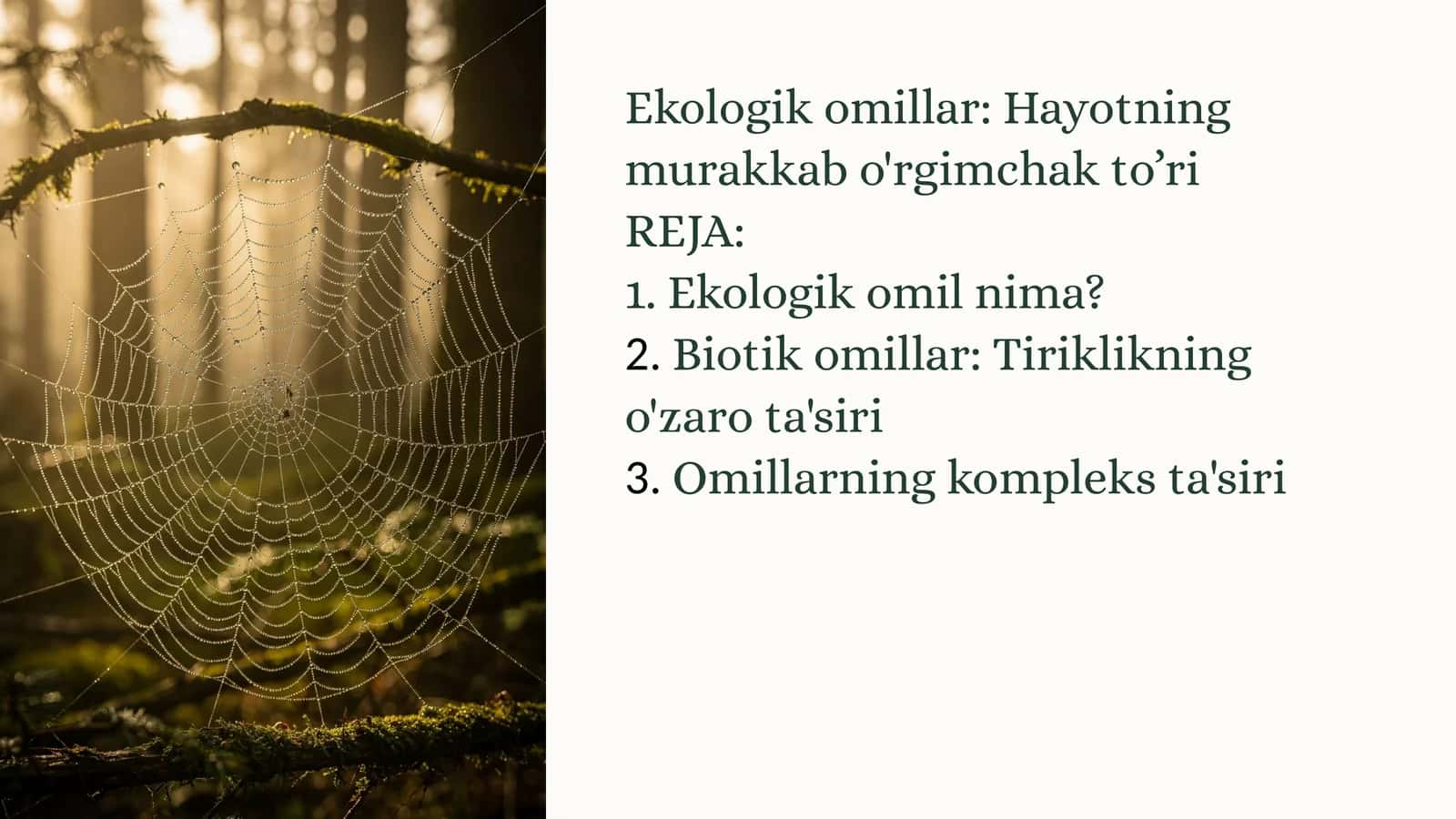 Ekologik omillar: Hayotning murakkabo'rgimchakto’ri 1