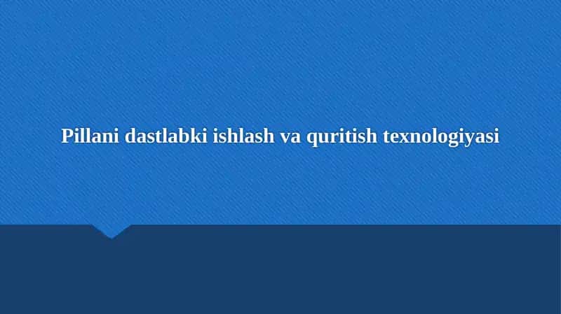 Pillani dastlabki ishlash va quritish texnologiyasi 1