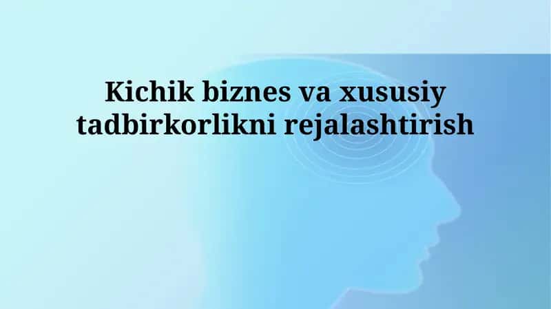 Kichik biznes va xususiy tadbirkorlikni rejalashtirish 1