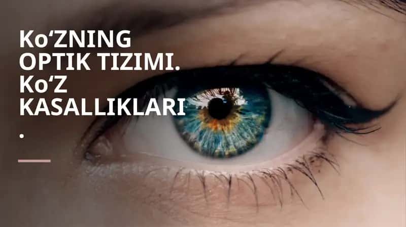Koʻzning optik tizimi. Ko'z kasalliklari 1