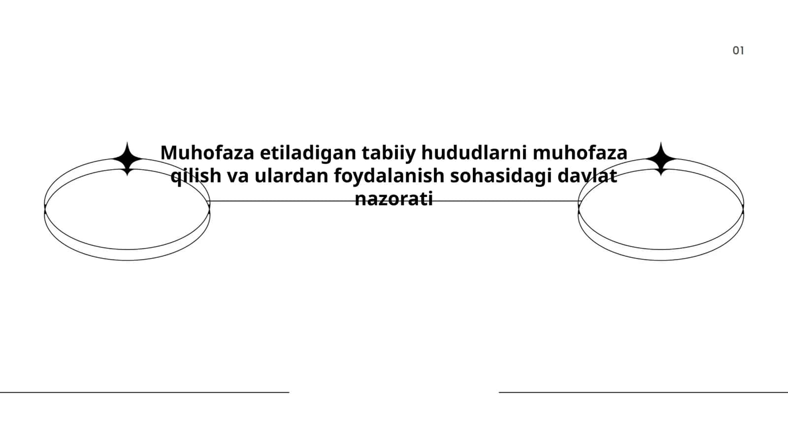 Muhofaza etiladigan tabiiy hududlarni muhofaza qilish va ulardan foydalanish sohasidagi davlat nazorati 1