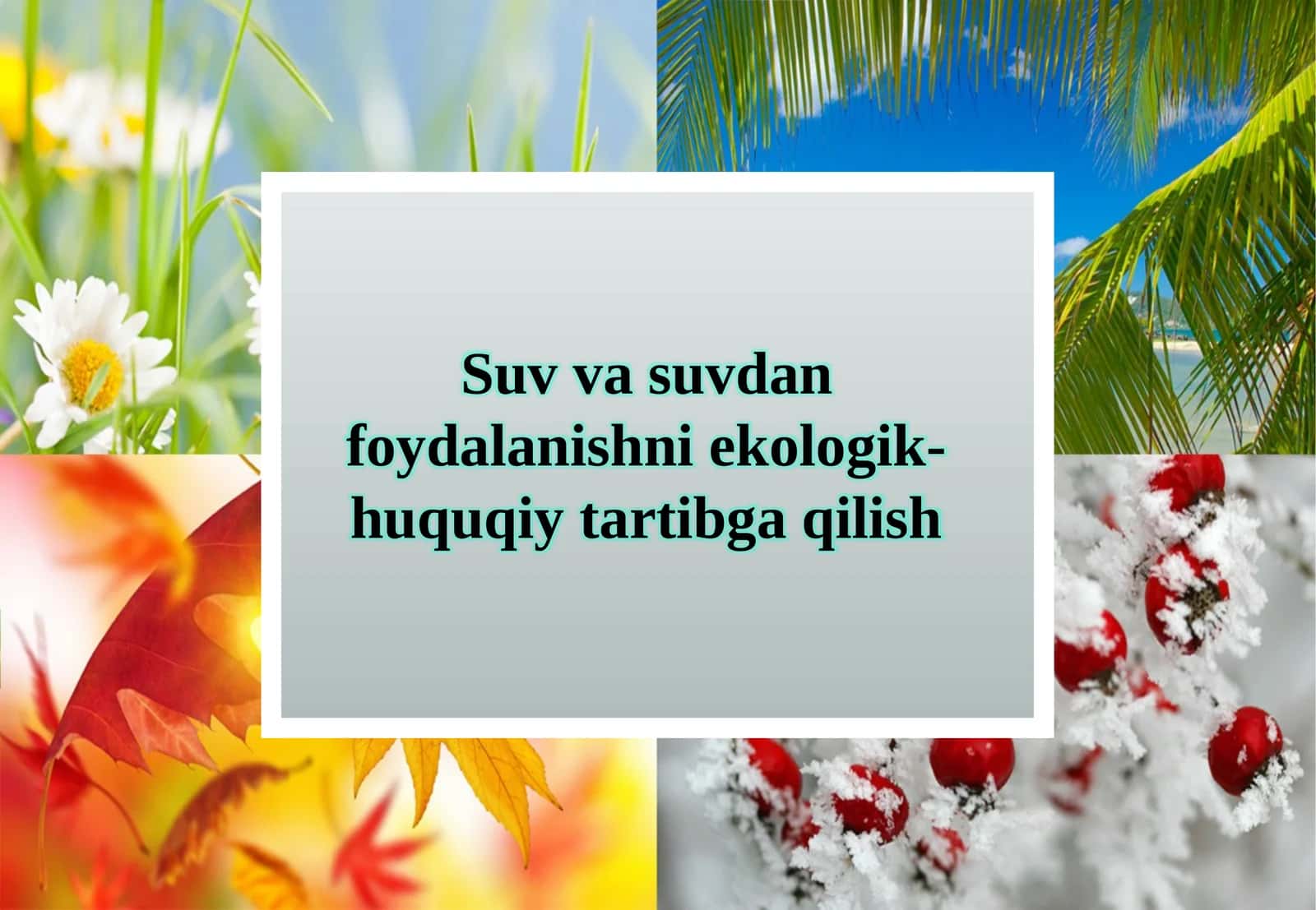 Suv va suvdan foydalanishni ekologik-huquqiy tartibga qilish 1