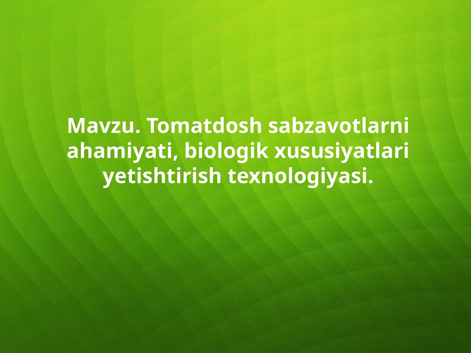 Pomidor ahamiyati, biologik xususiyatlari va texnologiyasi 1