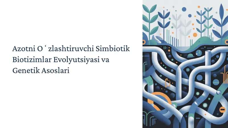Azotni Oʻzlashtiruvchi Simbiotik Biotizimlar Evolyutsiyasi va Genetik Asoslari 1