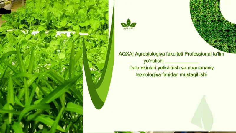 Yashab turgan hududda yetishtiriladigan asosiy ekinlar va ularning almashlab ekish tizimidagi o'rni. 1