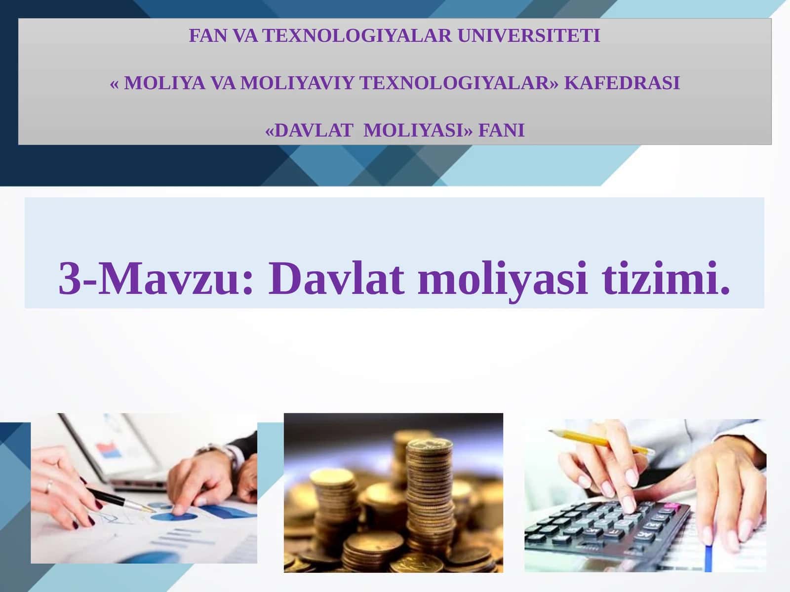 Davlat moliyasi tizimi 1