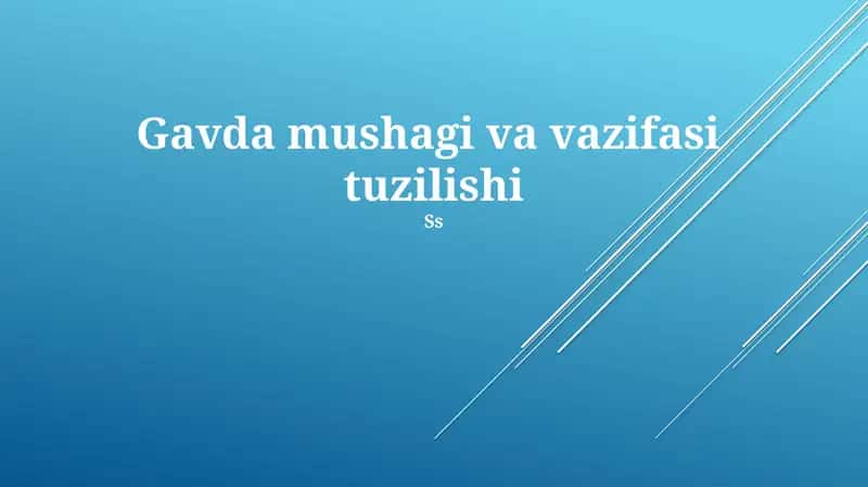 Gavda mushagi va vazifasi tuzilishi 1