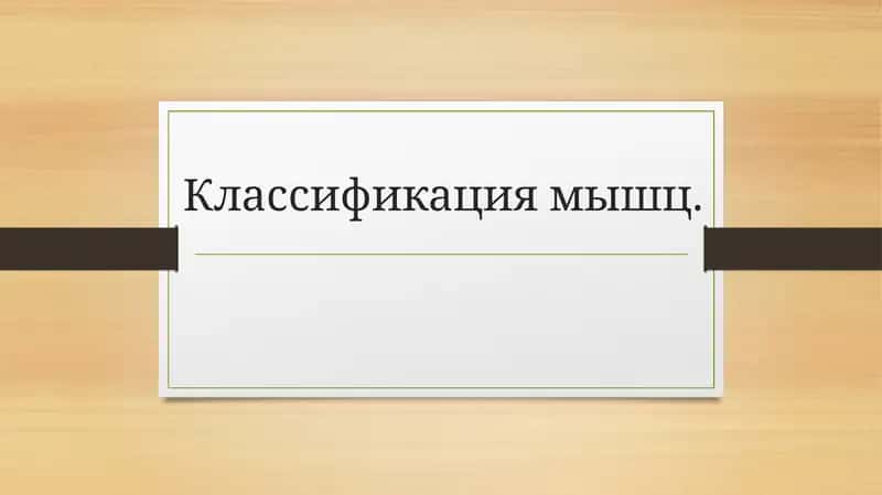Классификация мышц 1