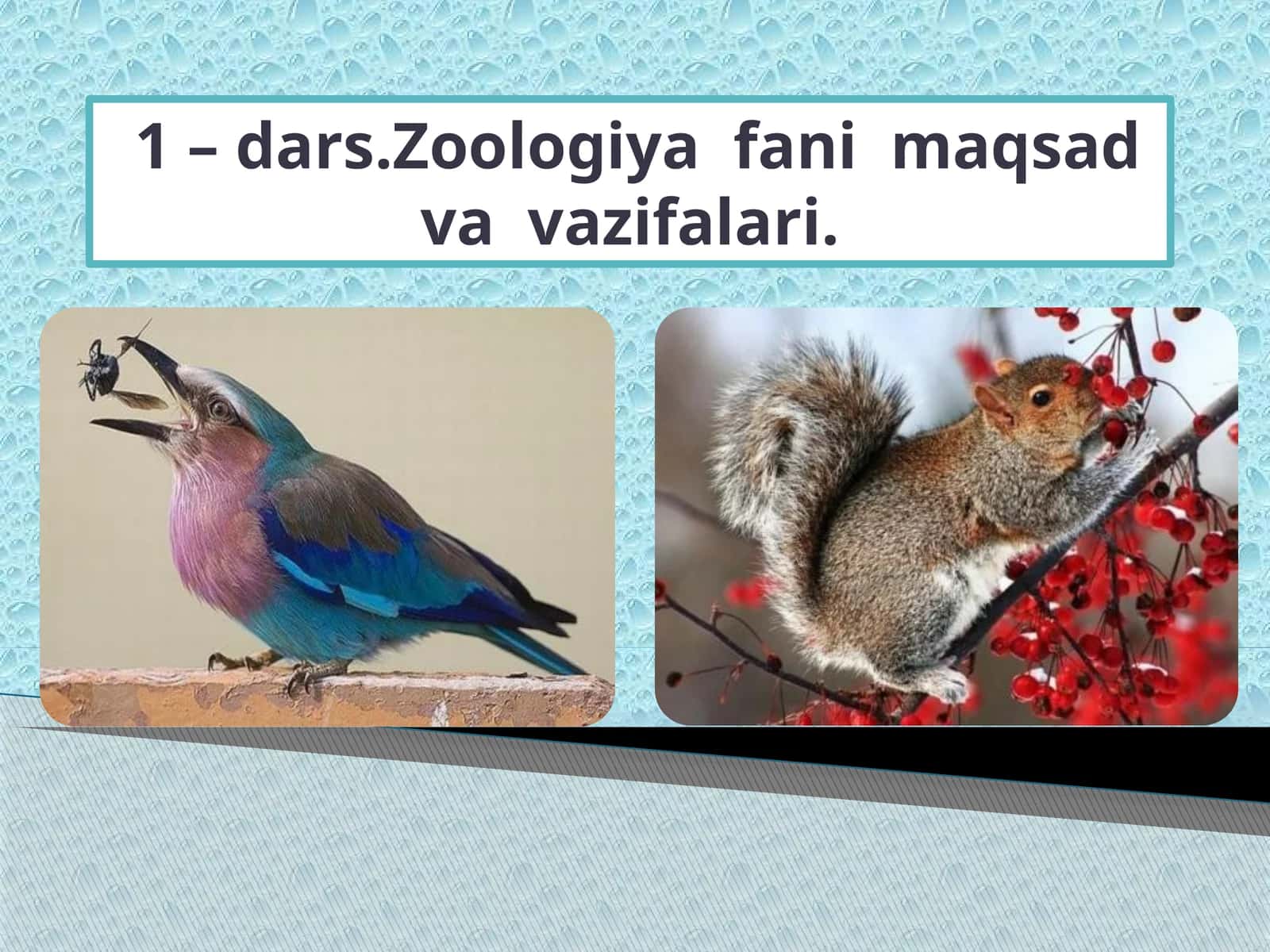 Zoologiya fanimaqsadvavazifalari 1