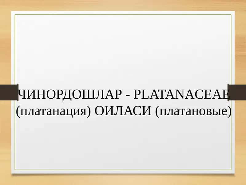 Чинордошлар- PLATANACEAE (платанация) ОИЛАСИ (платановые) 1