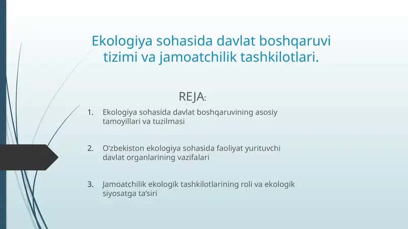 Ekologiyasohasida davlat boshqaruvining asosiy tamoyillari va tuzilmasi 1