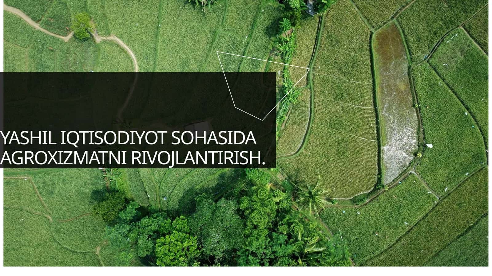 YASHIL IQTISODIYOT SOHASIDA AGROXIZMATNI RIVOJLANTIRISH 1