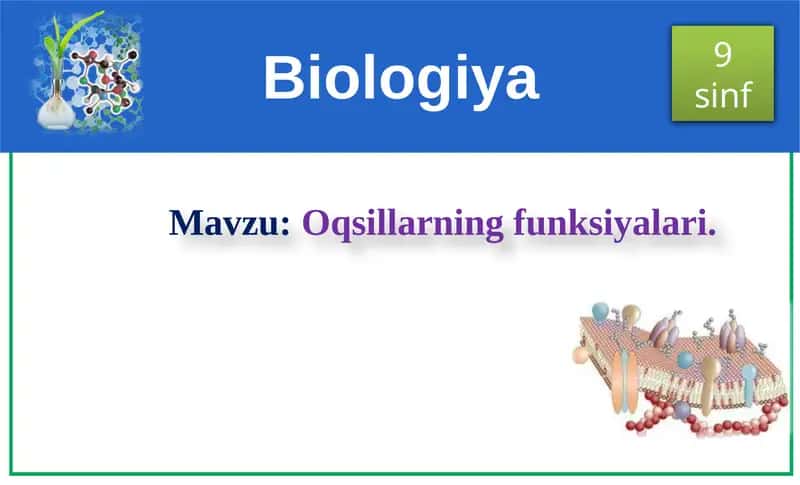 Oqsillarning funksiyalari 1