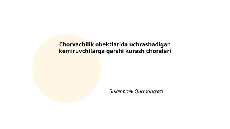 Chorvachilik obektlarida uchrashadigan kemiruvchilarga qarshi kurash choralari 1