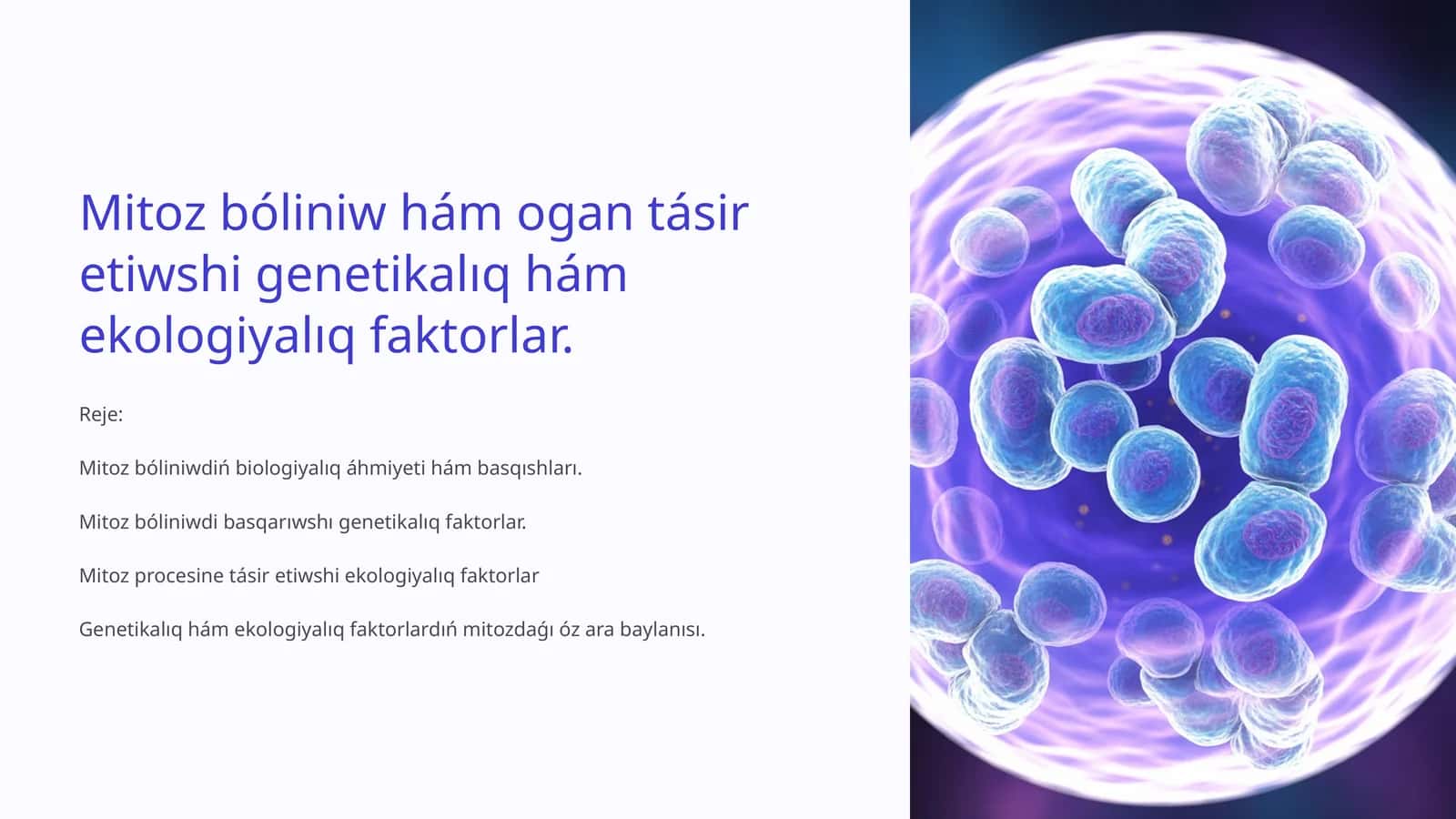 Mitoz bóliniw hám ogan tásir etiwshi genetikalıq hám ekologiyalıq faktorlar 1