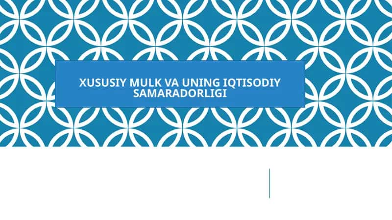 XUSUSIY MULK VA UNING IQTISODIY SAMARADORLIGI 1