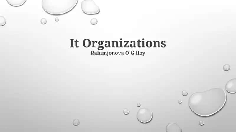 IT Organizations 1