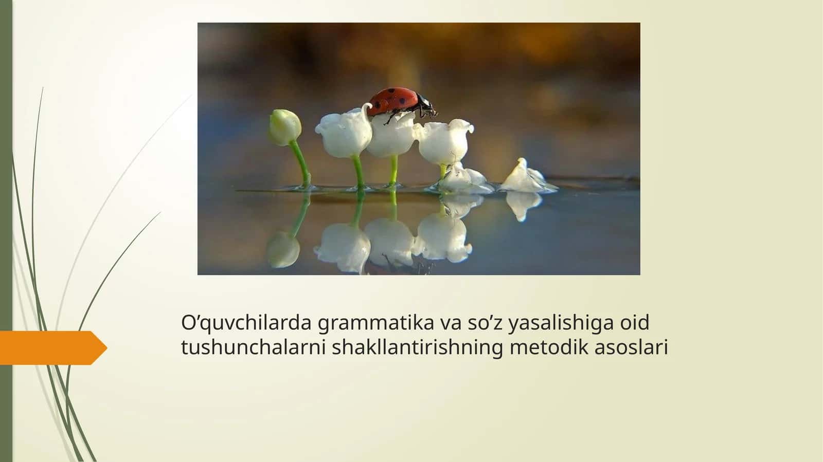 O’quvchilarda grammatika va so’z yasalishiga oid tushunchalarni shakllantirishning metodik asoslari 1
