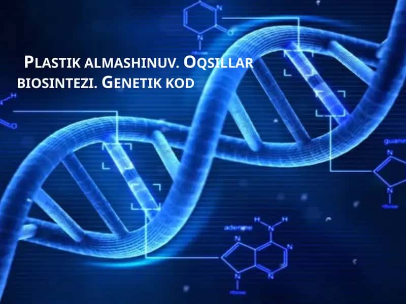 Plastik almashinuv. Oqsillar biosintezi. Genetik kod 1