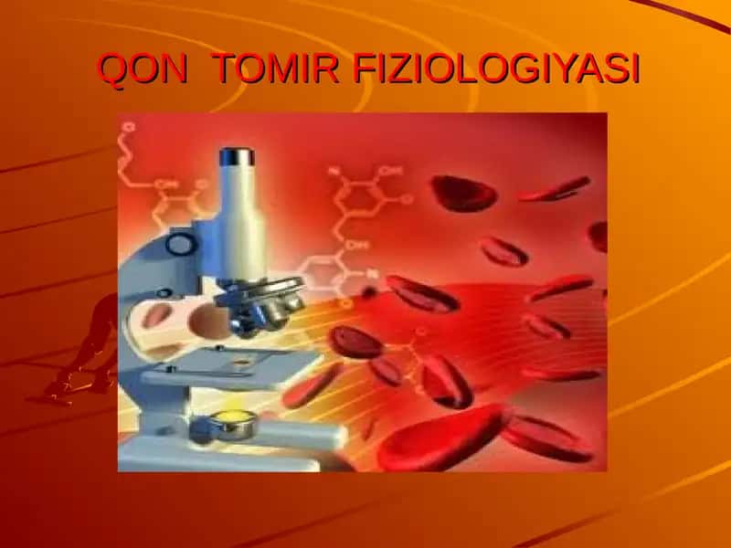 QON TOMIR FIZIOLOGIYASI 1