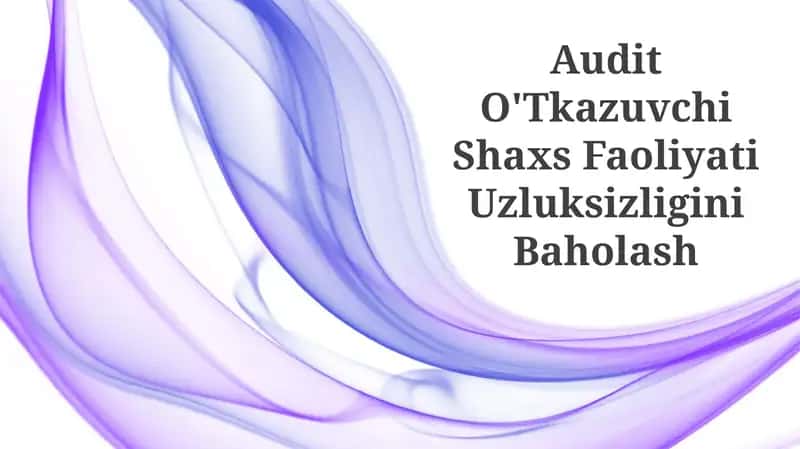 Audit O'Tkazuvchi Shaxs Faoliyati Uzluksizligini Baholash 1