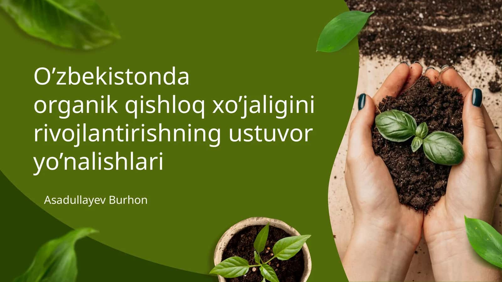 O’zbekistonda organik qishloq xo’jaligini rivojlantirishning ustuvor yo’nalishlari 1