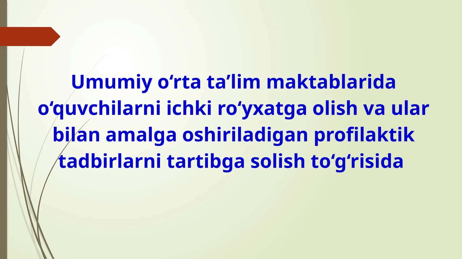 Umumiy o‘rta ta’lim maktablarida o‘quvchilarni ichki ro‘yxatga olish va ular bilan amalga oshiriladigan profilaktik tadbirlarni tartibga solish to‘g‘risida 1