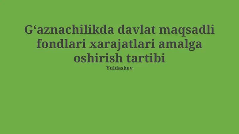 Davlat maqsadli jamg'armalari: turlari va xarajat asoslari 1