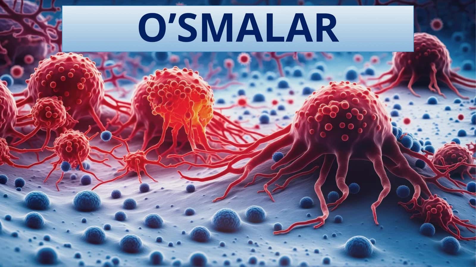 O'smalar (Neoplazmalar) 1