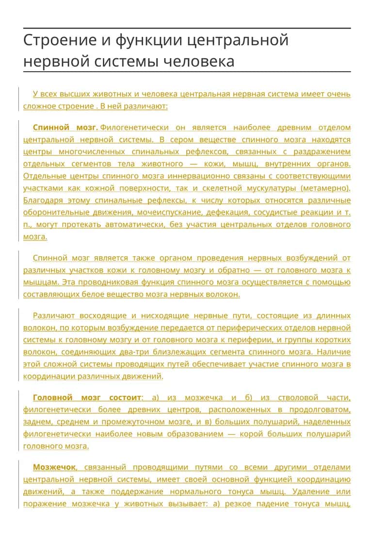 Строение и функции центральной нервной системы человека 1