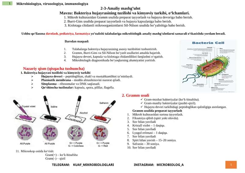 Mikrobiologiya, virusologiya, immunologiya 1