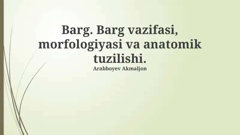 Qobiq 1